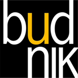 Logo Budnik